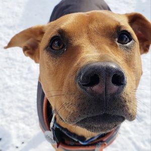 Meet your Posher, Matt